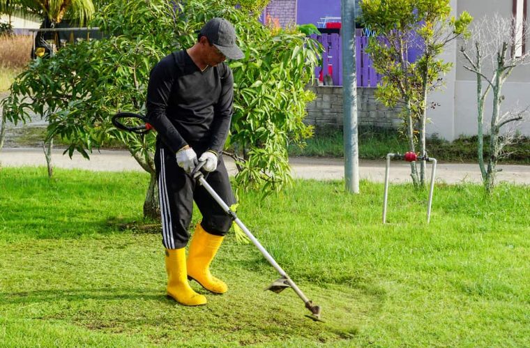 Weed Eating