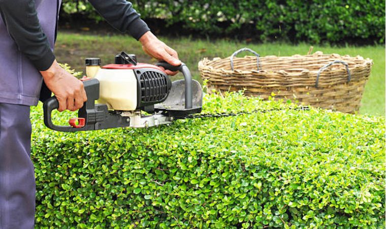 Hedge Cutting