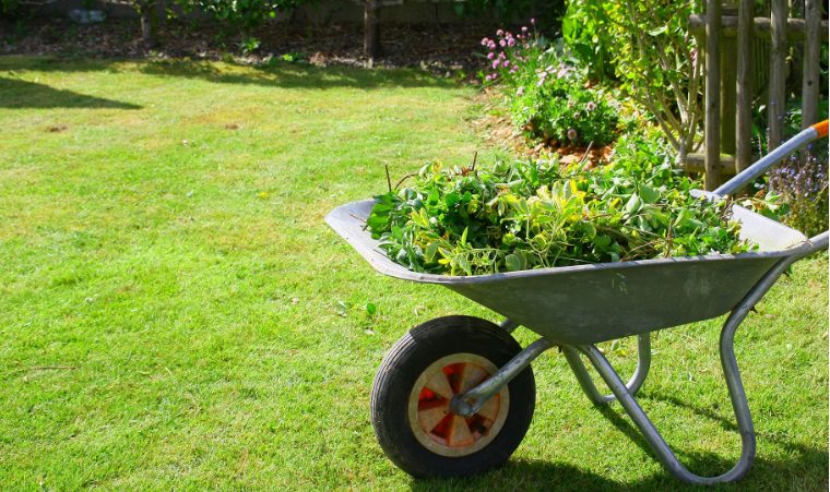Green Waste Clearance