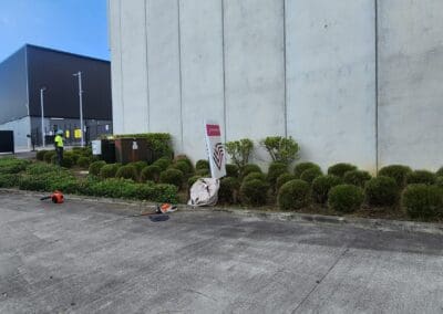 Garden Waste Removal