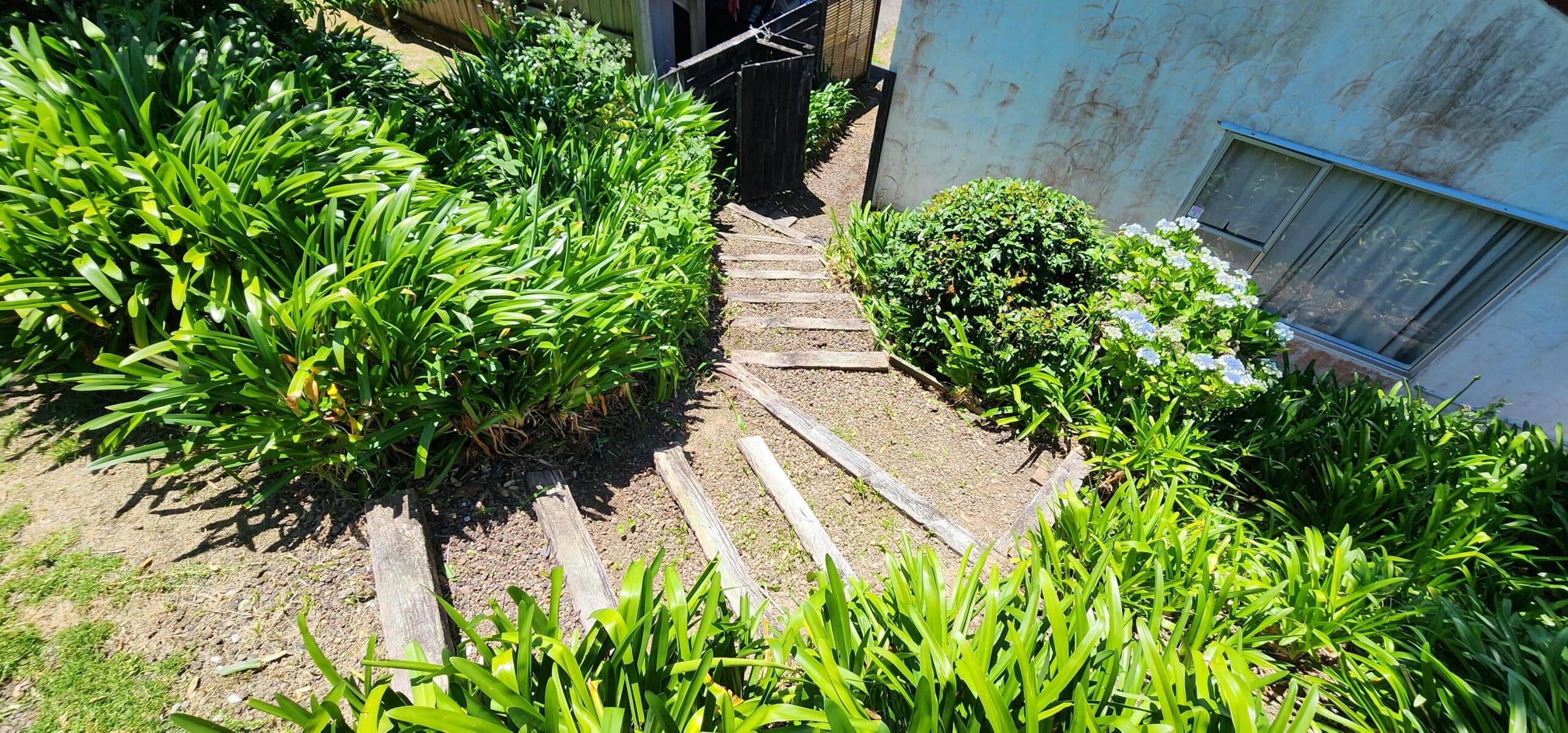 Our Garden Magic: Unveiling the Power of Professional Garden Maintenance