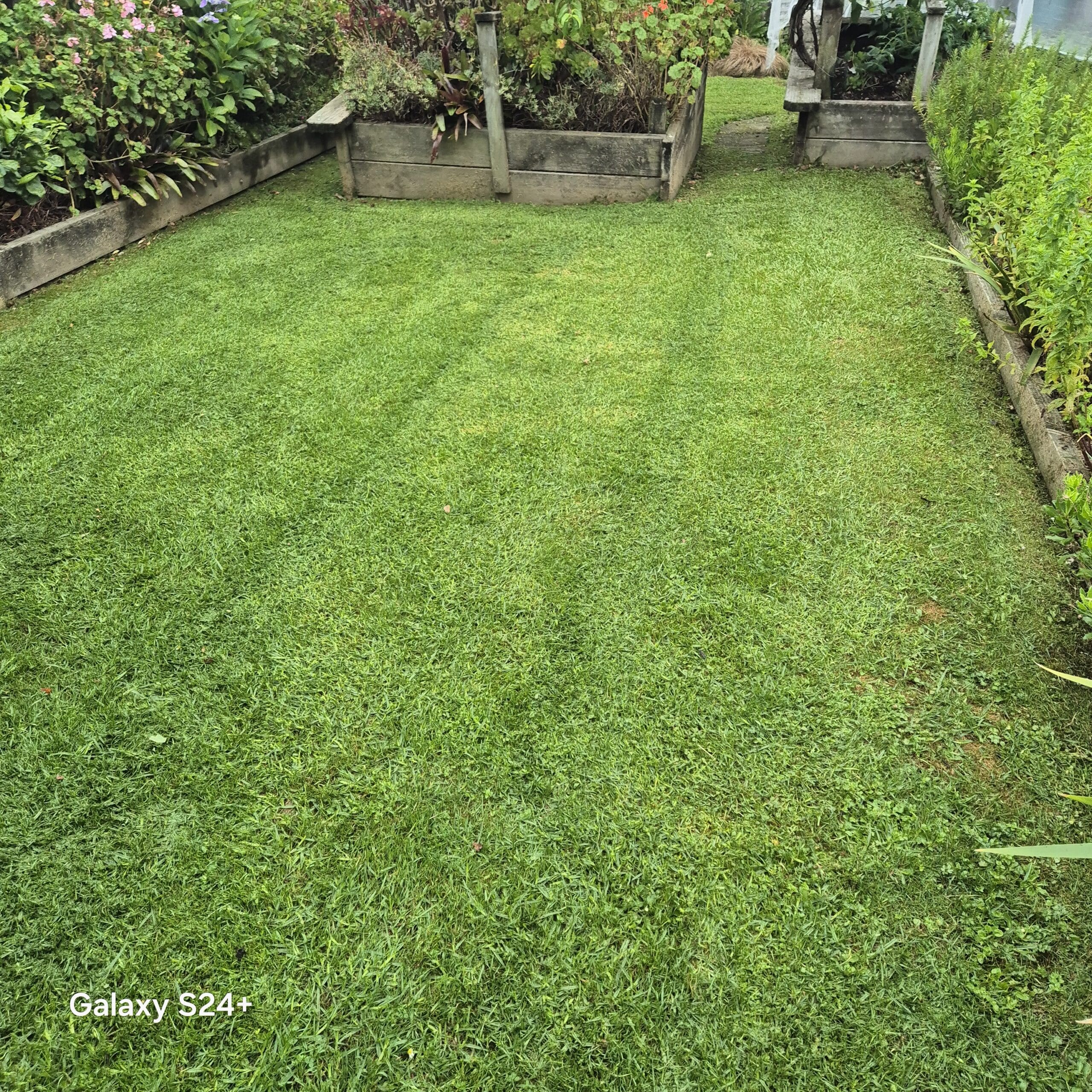 Exceptional Lawn Mowing Services Near Me