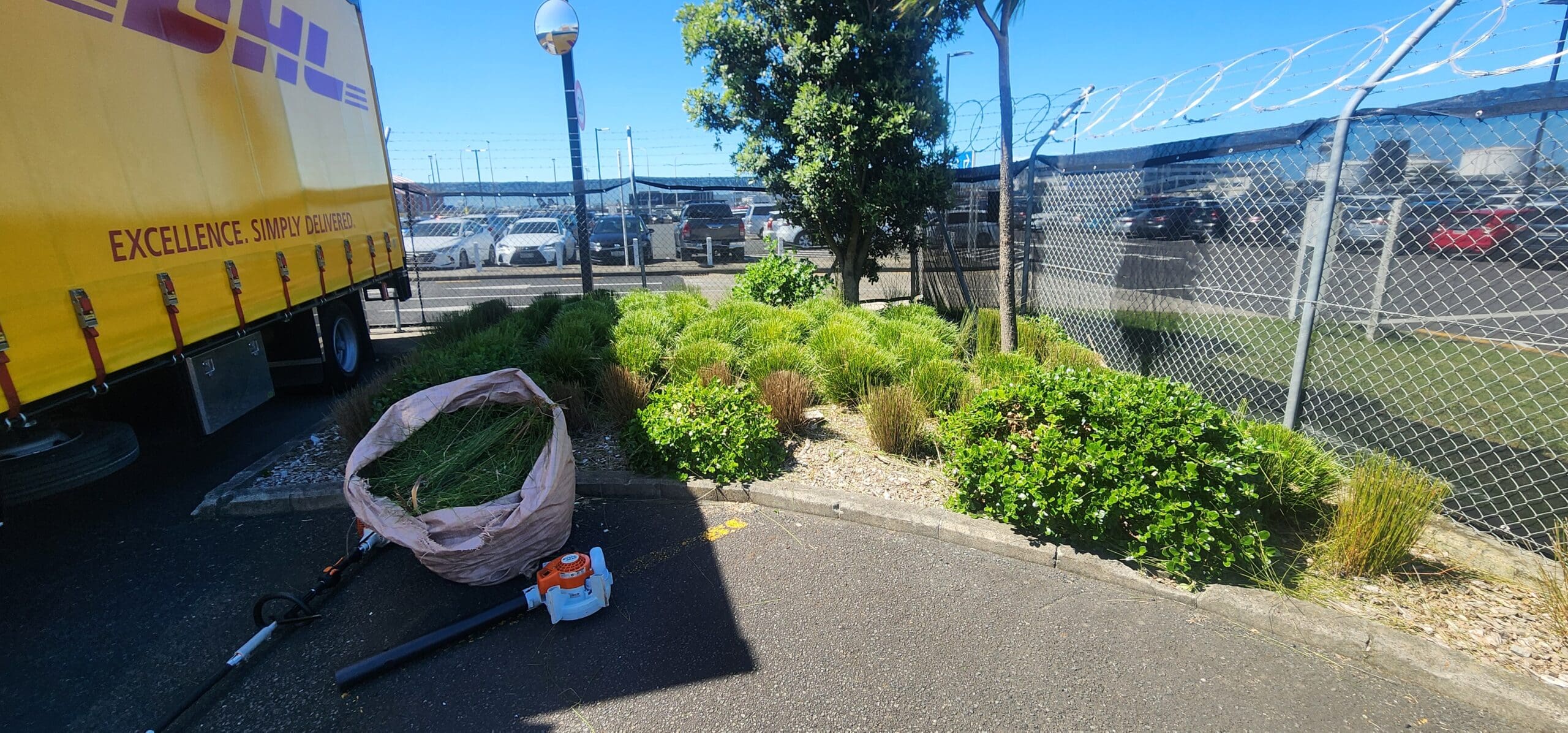 Weed Out the Competition: Our Elite Commercial Property Landscaping Services