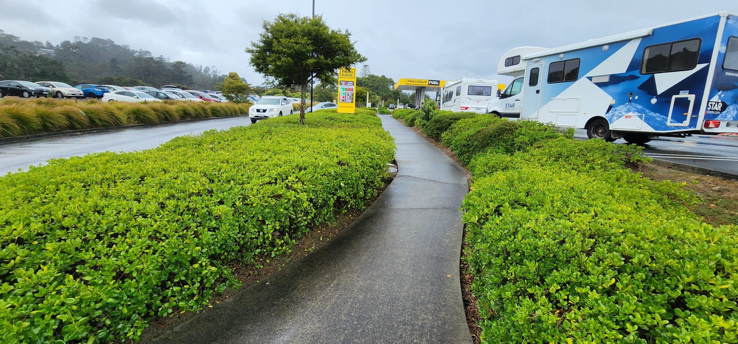 Turf Titans: Powering Up Your Commercial Lawn Care Services