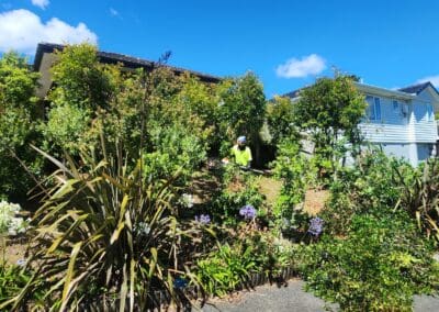 Garden Maintenance Services