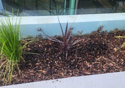 Clean-Up & Garden Waste Removal Auckland