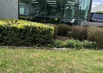 Garden Maintenance Services