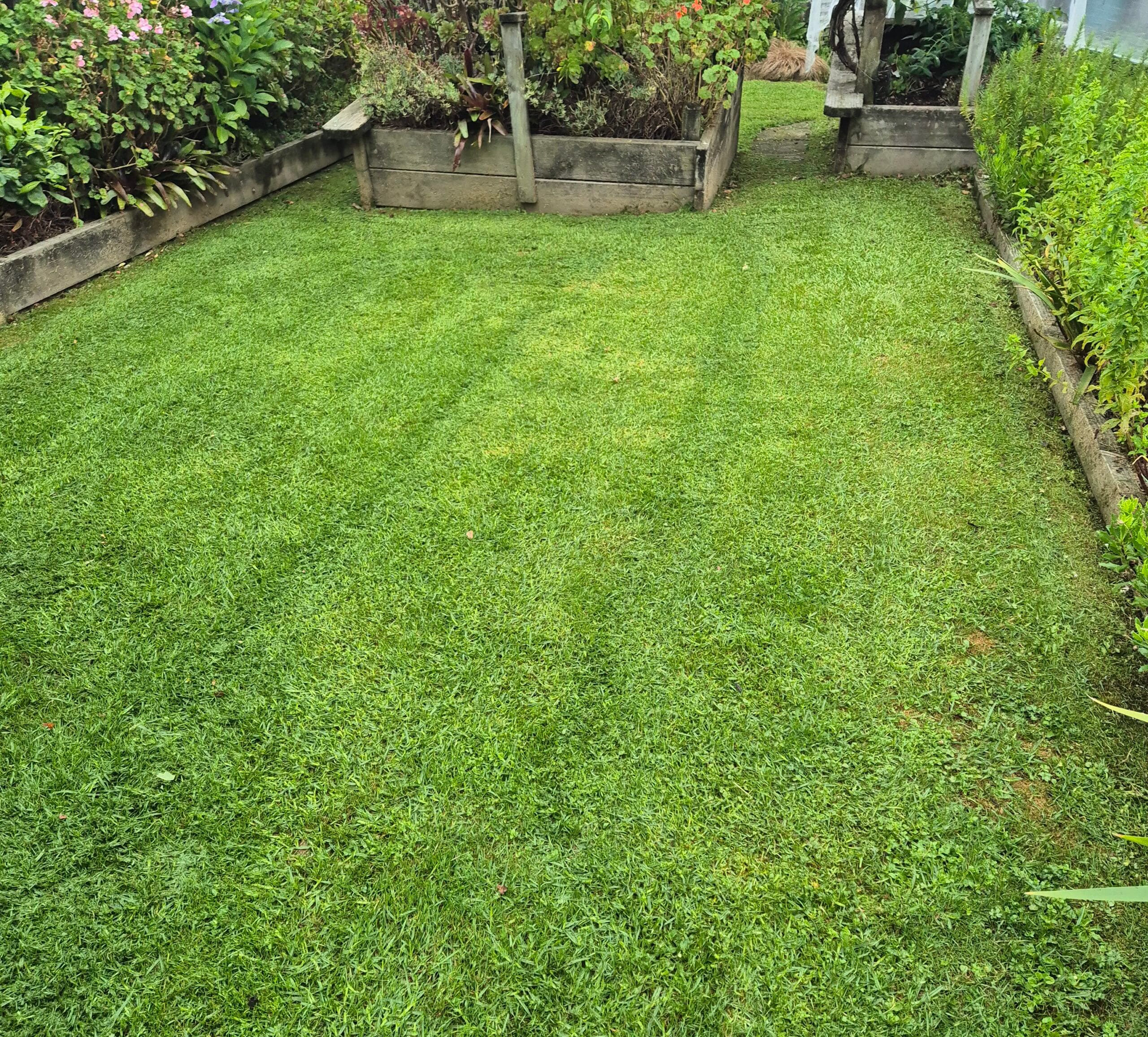 Protect your investment in your garden